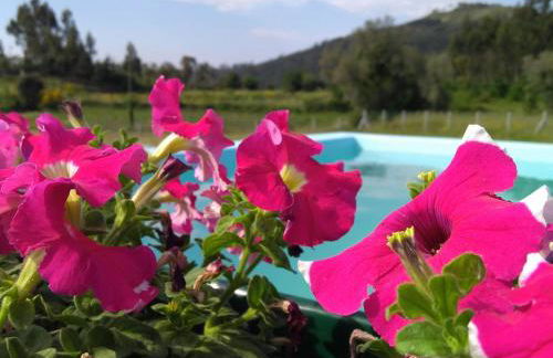 Casa do Pinheiro Manso - Foto 23