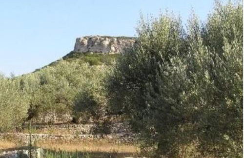 Casa Almendra - Foto 23