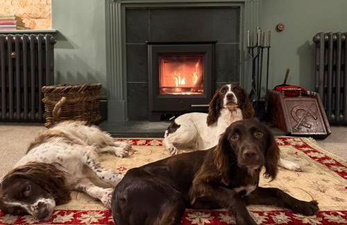 Lane End Cottage - Kirkby Lonsdale - Foto 26