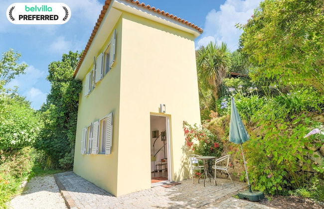 Forest Hideaway Near Douro Valley - Foto 1