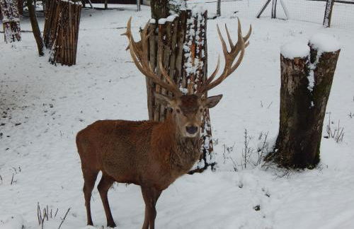 Zur-kleinen-Auszeit - Foto 20
