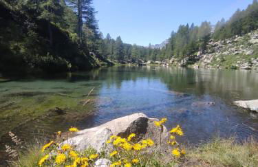 Il fiore di pietra - Foto 20