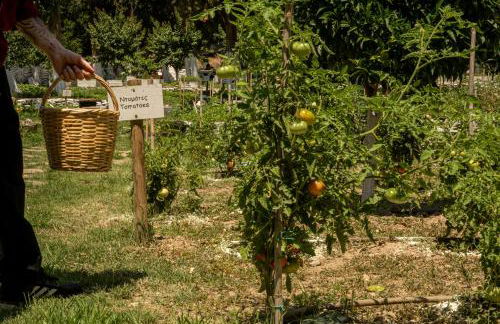 Votsalo Seaside - Foto 24