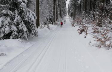 FeWo 12 45qm bis 3 Pers nahe Winterberg - Foto 22