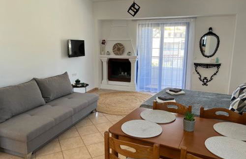 Elefanti Nani - Foto 68