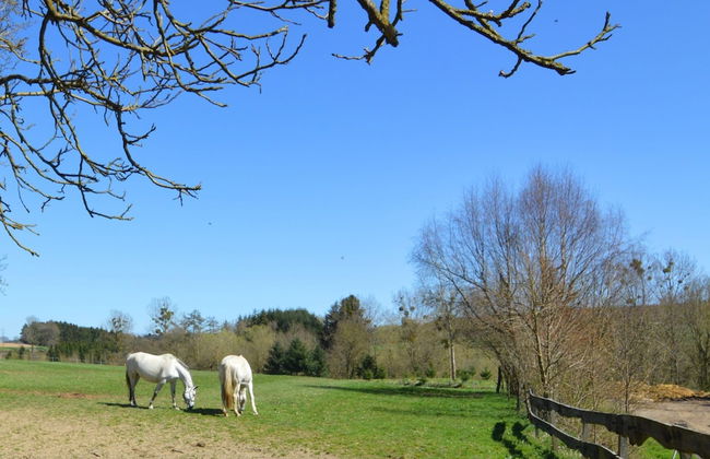 Farm Stay in Barvaux-condroz - Foto 45