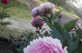 La Quercia e il Castagno Country & Relax - Foto 43