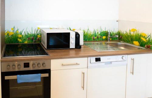 TOP! Gemütliches Studio-Apartment zentral, WLAN, Küche - Foto 17