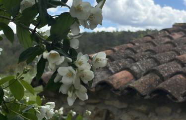 Case de Campo "El Caroche" Alojamientos, Retiros y Eventos - Foto 18