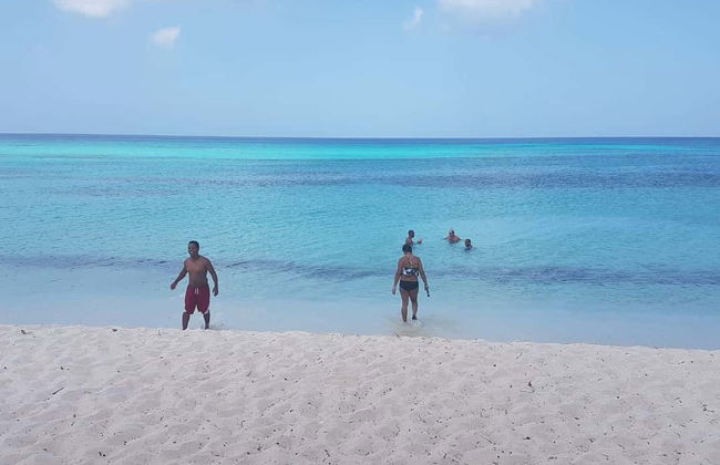 Excursion à Bahía de las Águilas - Photo 9