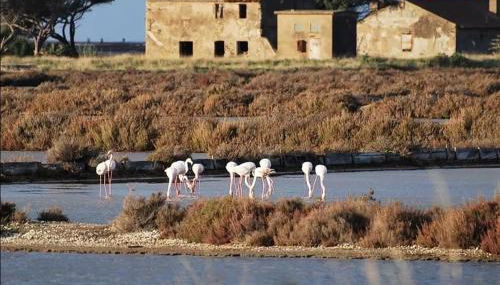 Coquet T2 rénové, proche plages et Hyères, 4 couchages - Foto 3