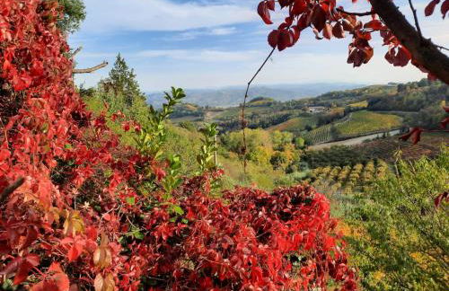 La Giribaldina Winery & Farmhouse - Foto 67