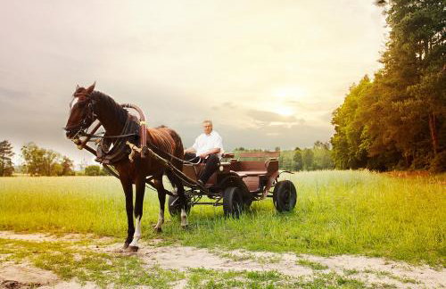 Apartamenty Sawino 4 - Foto 34