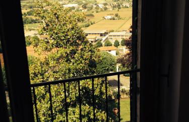 Tre Girasoli - Foto 31