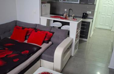 Studio apartman Laura - Foto 21