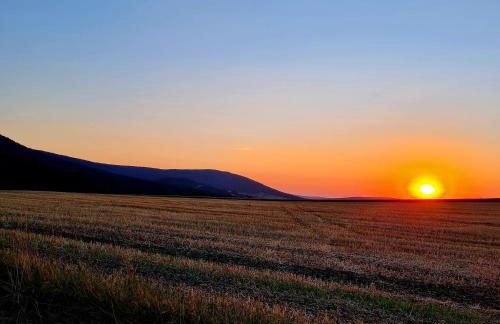 Urlaubsdomizil Am Töpfer - Ferienwohnungen in Olbersdorf - Foto 55