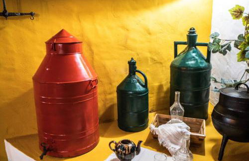 Montanhas do Xisto - Casa da Parreira - Foto 6