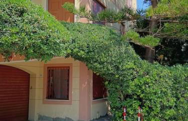 Marina di Bardi Silvia's Beach house - Foto 36