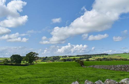 Swiss Cottage - Foto 26