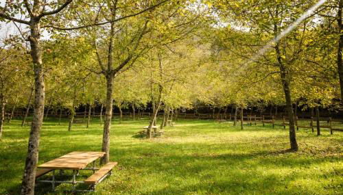 Lunigiana Experience - Foto 4