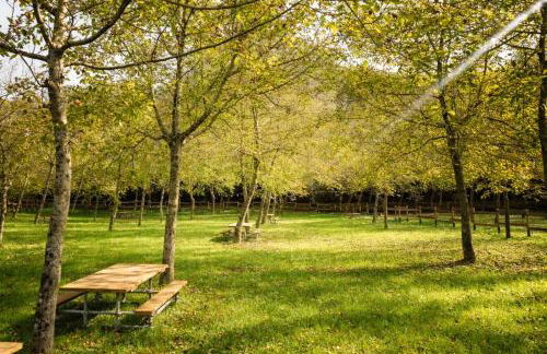 Lunigiana Experience - Foto 4