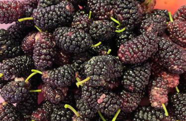 Chrisi Holiday Home - 500 sqm Private Gardens & Nature View - 300m by the sea - Photo 66