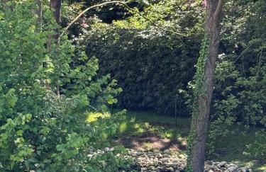 Eichenblick - Foto 12