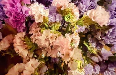 Casa do Castelo - Foto 48