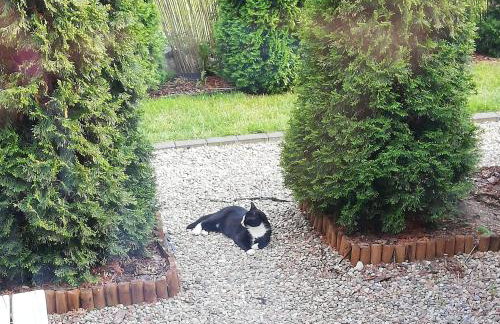 Domki Fala Family - Foto 60