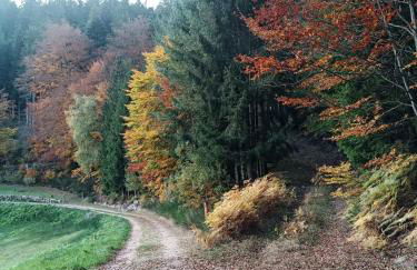 Haus Wander-Lust - Foto 11