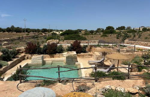 FICOMORO FARM - Foto 7