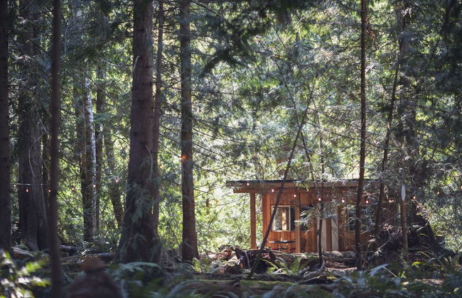 Heartwood Retreats - Foto 16