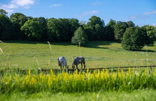 Henge Estate - Large Manor with ensuite double rooms, hot tub and tennis court - Foto 51