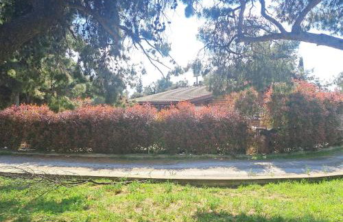 Alsos Home - Foto 23