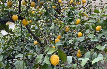 House with patio and air conditioning - Foto 9