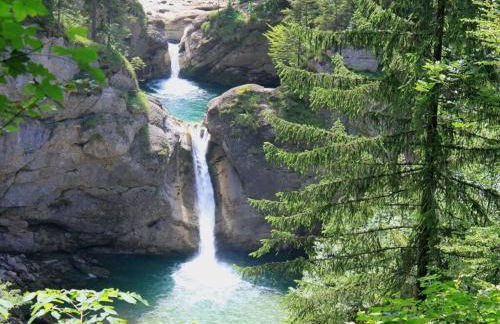 Alpchalet Staufner Quelle - Foto 45