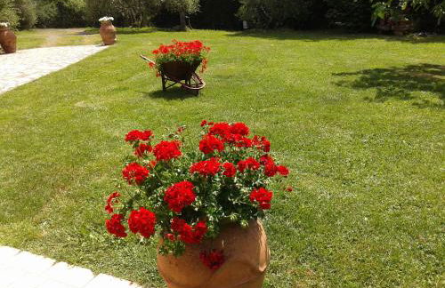 Podere Stollo - Foto 58