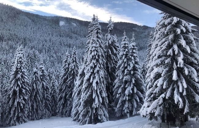 Mountain View Apartment in Bad Kleinkirchheim near Ski Area - Foto 32