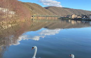 Bull' Expérience - Foto 8