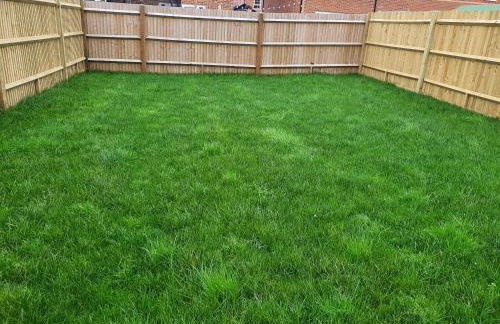 The Joyland House - Foto 12