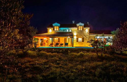 NEW 2023 Villa Tree of Life - Photo 79