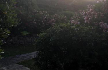 Domus Liscia di Vacca - Foto 63