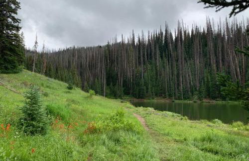 Large Family Cabin Near Park City - Foto 64