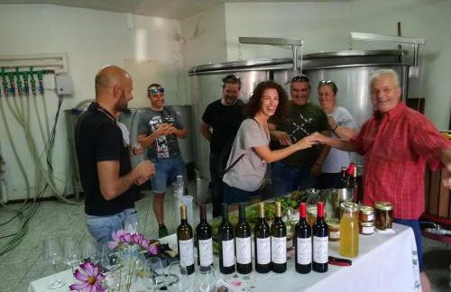 Quinta de Santa Marinha - Foto 13