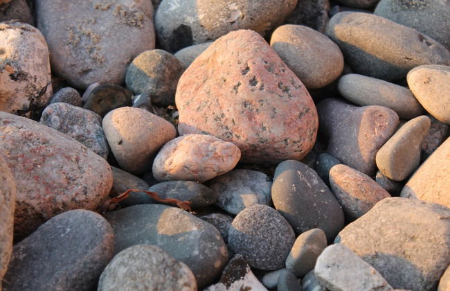 Snug Apartment in Kropelin Germany - Foto 56