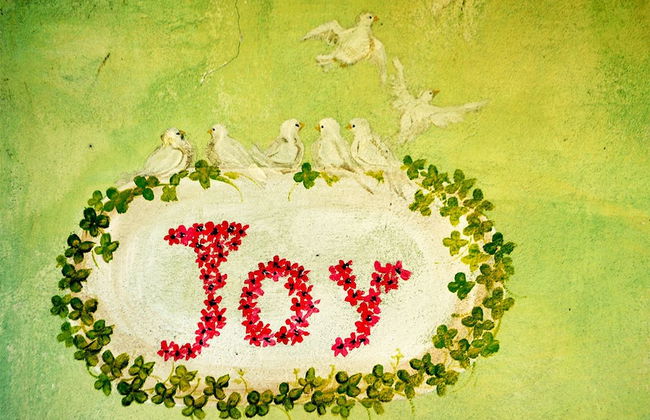 Ars Naturae Biologic Farm - Foto 30