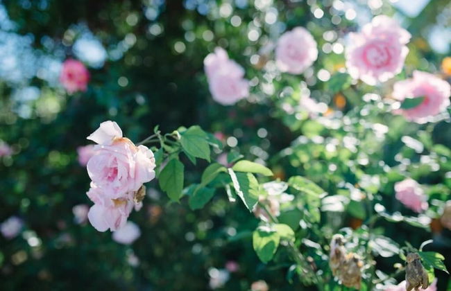 Casa Rural El Patio de Tita - Foto 34