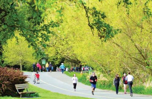 Greenlake Little Oasis- B - Foto 13