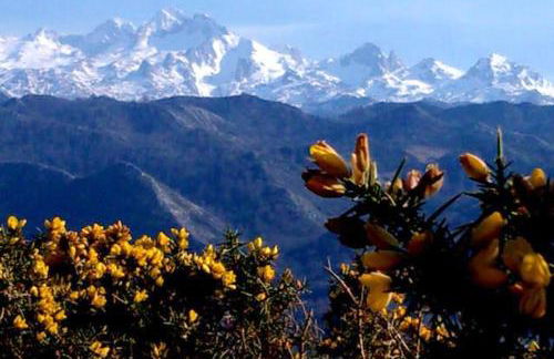 Charming Apartment in Villamayor – 40 m² – Parking Included - Foto 18