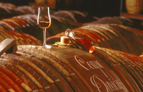 Luxury Villa in France with Pool - Foto 22